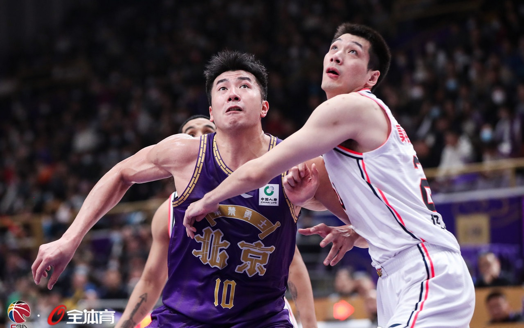 Ning能重回CBA四强再成焦点(广东男篮或面临解散)|