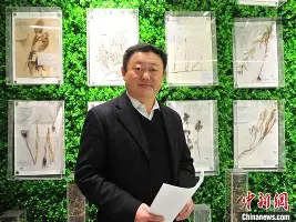 TheShy裁掉结果意外(TheShy一个月打了400把排位) TheShy裁掉结果意外(TheShy一个月打了400把排位)